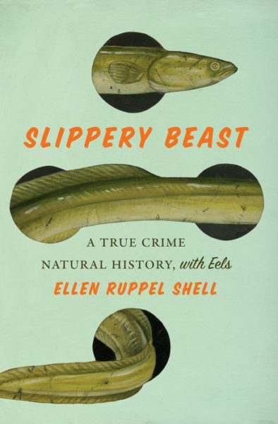 The Bristol Community Read Program kicks off with "Slippery Beast:  A True Crime Natural History of Eels." (Courtesy photo)