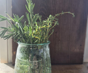 Thyme and rosemary, a great pairing in the garden and the kitchen. (Photo courtesy Healthy Lincoln County)
