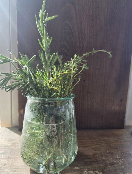 Thyme and rosemary, a great pairing in the garden and the kitchen. (Photo courtesy Healthy Lincoln County)