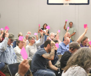 Somerville voters hold up a pink card to indicate their vote during the annual town meeting on Saturday, June 20. The meeting lasted four hours, with multiple questions around the state of the town financial accounts. (Christine Simmonds photo)