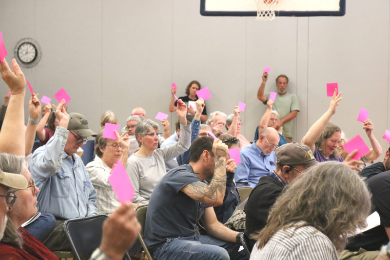Somerville voters hold up a pink card to indicate their vote during the annual town meeting on Saturday, June 20. The meeting lasted four hours, with multiple questions around the state of the town financial accounts. (Christine Simmonds photo)