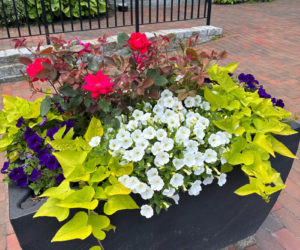 An EarthPlanter is filled with flowers on Main Street in Wiscasset. (Photo courtesy Bob Bond)