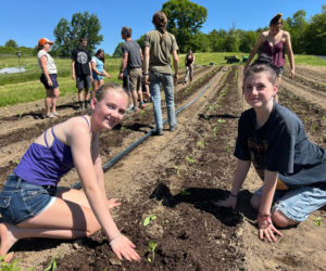 Clodagh McQuillen and Stella Strout plant flowers at Twin Villages Foodbank Farm. (Photo courtesy Sara Cawthon)